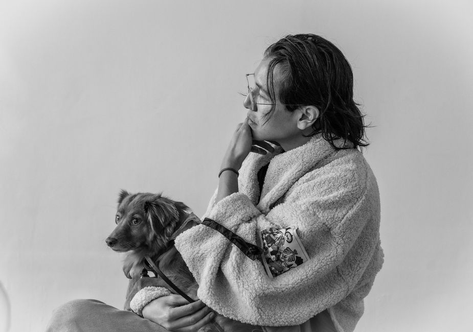 꿈의 심리적 의미를 되짚어보며 개를 쓰다듬는 사람의 모습