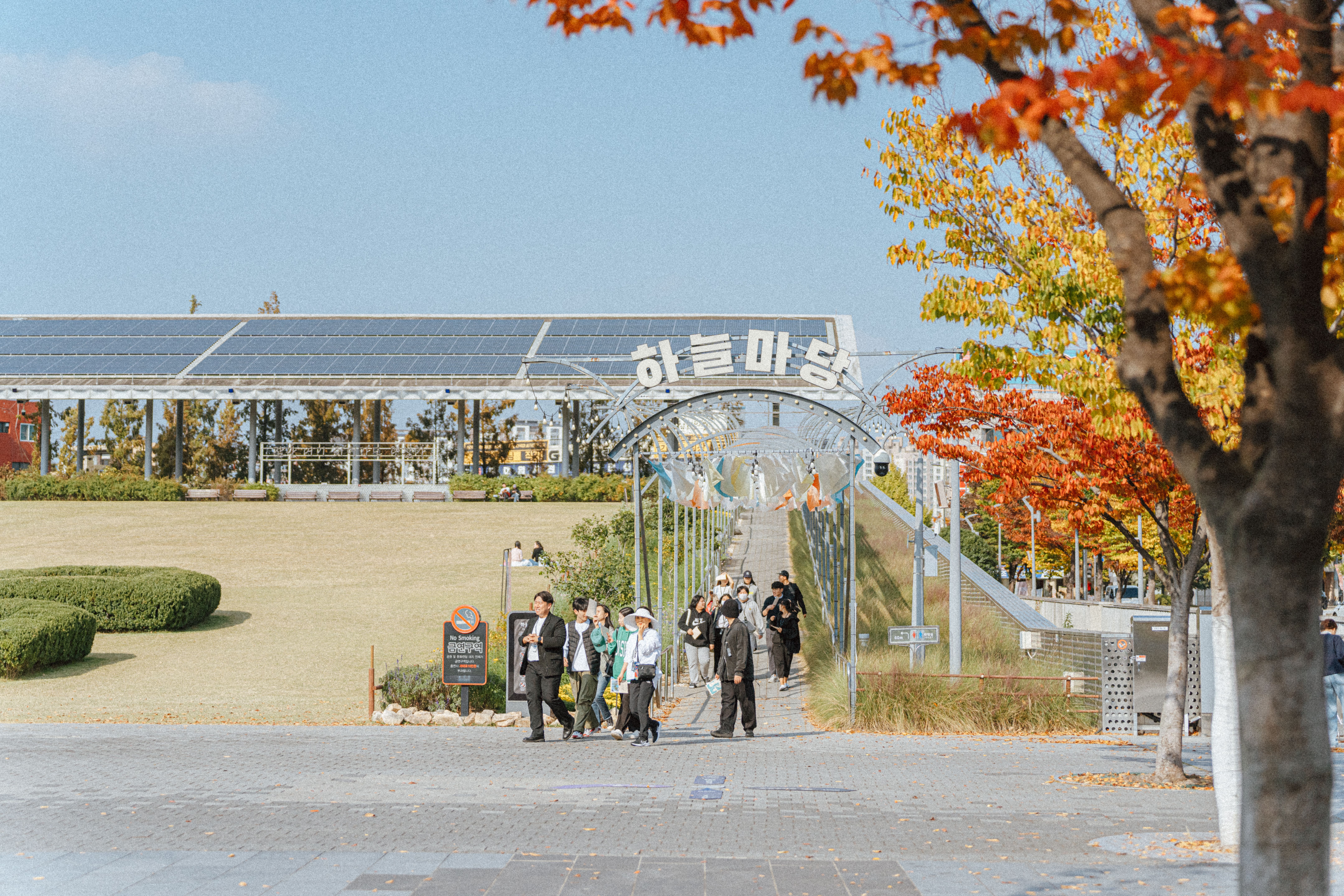 재물운 상승을 상징하는 밝게 빛나는 동전들 위로 느릿하게 다가가는 달팽이 이미지.