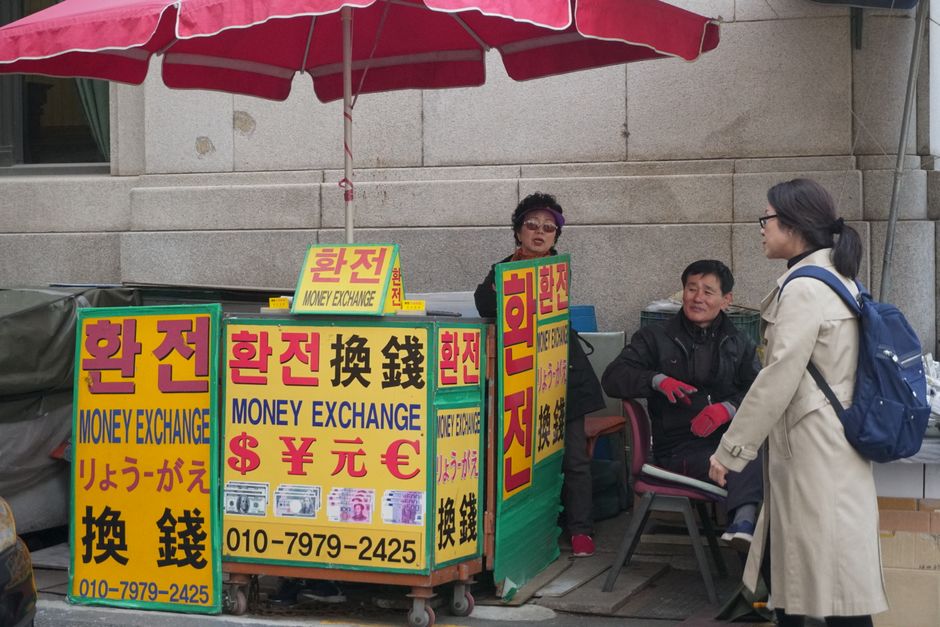 숲속 이끼 낀 바닥에서 오래된 한국 지폐 뭉치를 줍는 손. 예상치 못한 행운과 기회를 상징합니다.