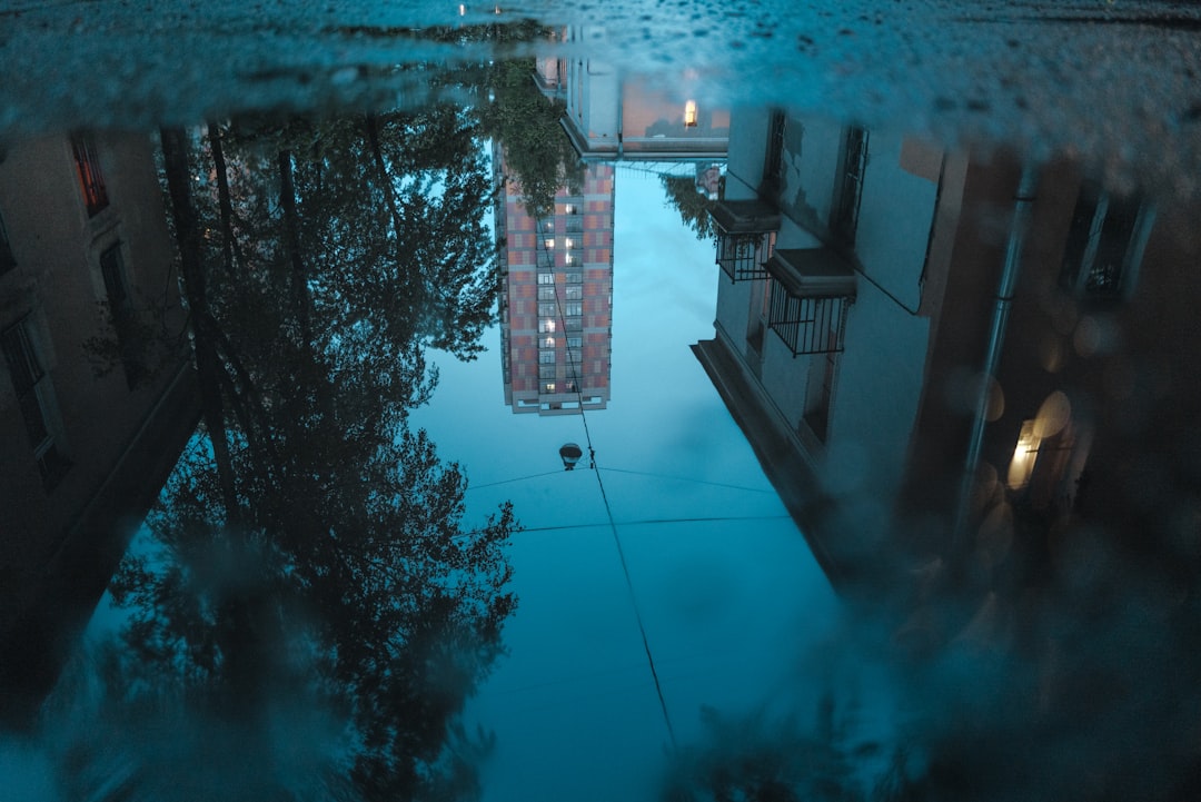 맑은 연못을 응시하며 사색하는 사람, 반사된 아기 형상으로 내면의 아이를 상징