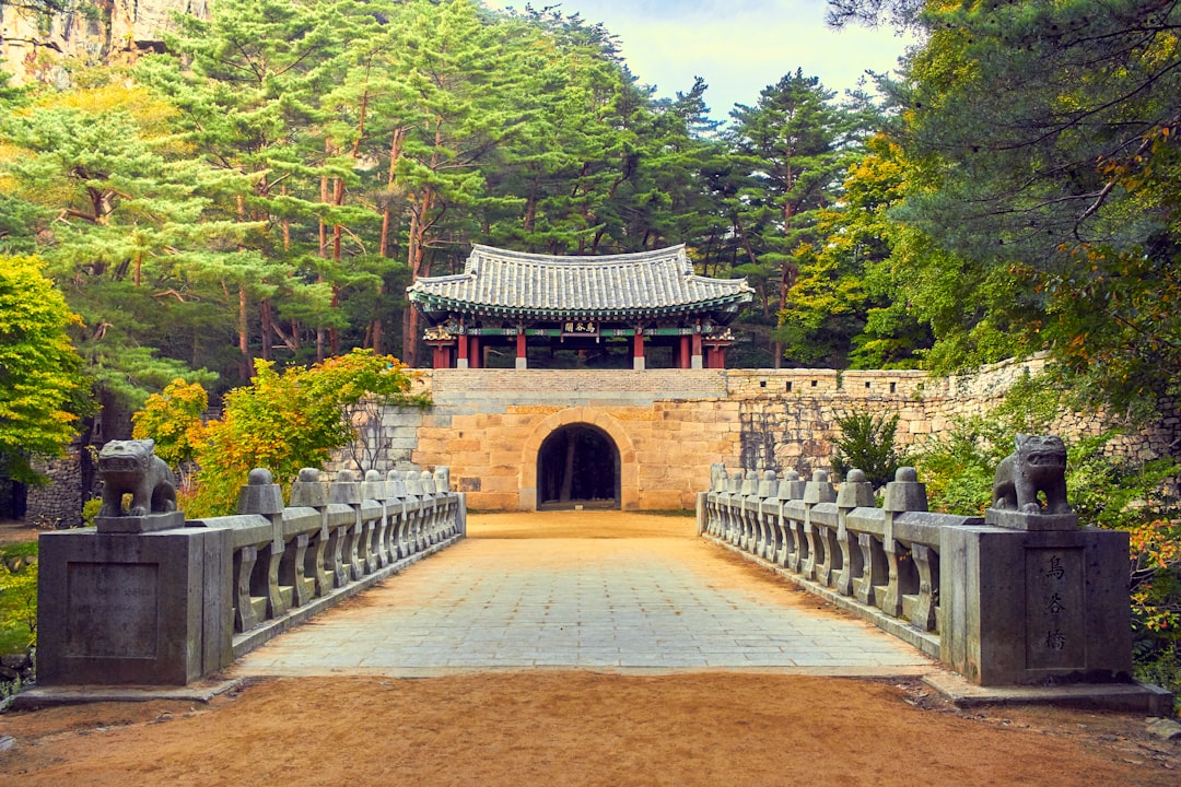 오래된 황금 열쇠가 빛나는 문을 열고 있는 꿈같은 이미지, 문제 해결과 새로운 기회를 상징합니다.