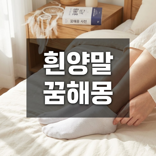흰양말 꿈해몽