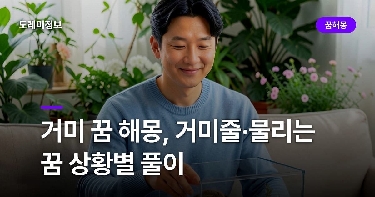 거미 꿈 해몽, 거미줄·물리는 꿈 상황별 풀이