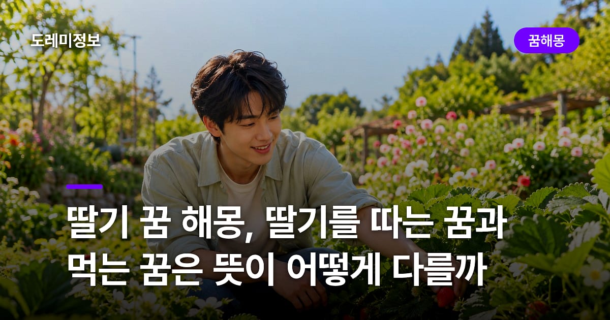 딸기 꿈 해몽, 딸기를 따는 꿈과 먹는 꿈은 뜻이 어떻게 다를까