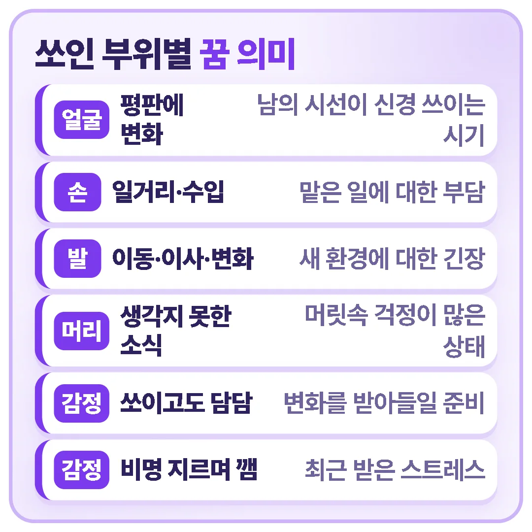 벌에 쏘인 꿈은 얼굴·손·발·머리 등 부위마다 풀이가 다르지만, 부위보다 꿈속 감정을 먼저 떠올려 보는 것이 좋습니다.