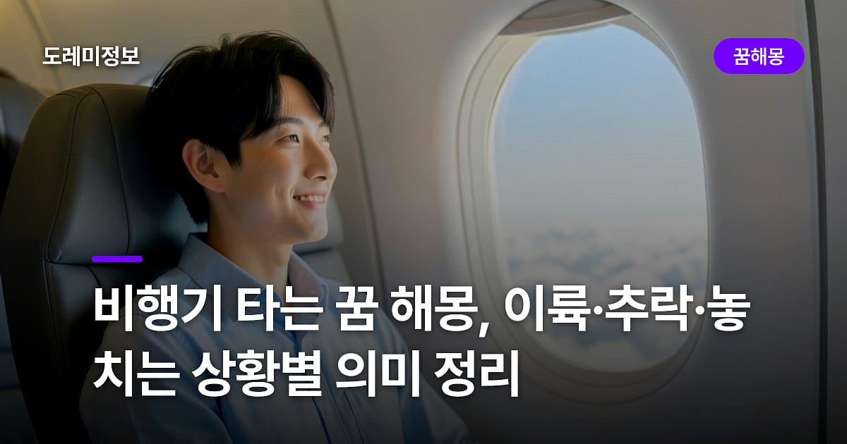 비행기 타는 꿈 해몽, 이륙·추락·놓치는 상황별 의미 정리