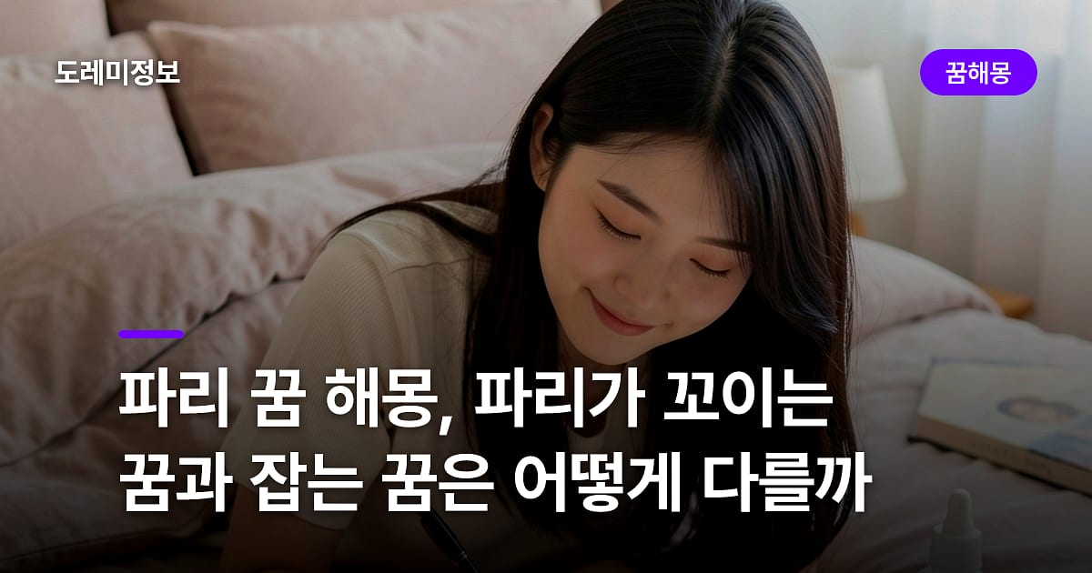 파리 꿈 해몽, 파리가 꼬이는 꿈과 잡는 꿈은 어떻게 다를까