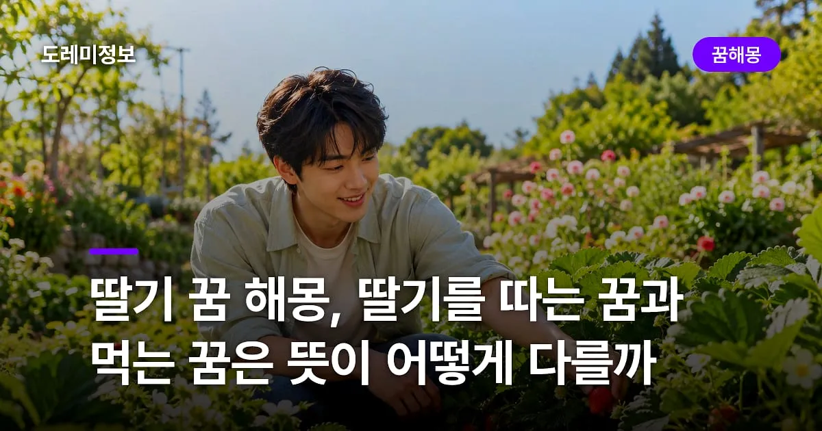 딸기 꿈 해몽, 딸기를 따는 꿈과 먹는 꿈은 뜻이 어떻게 다를까
